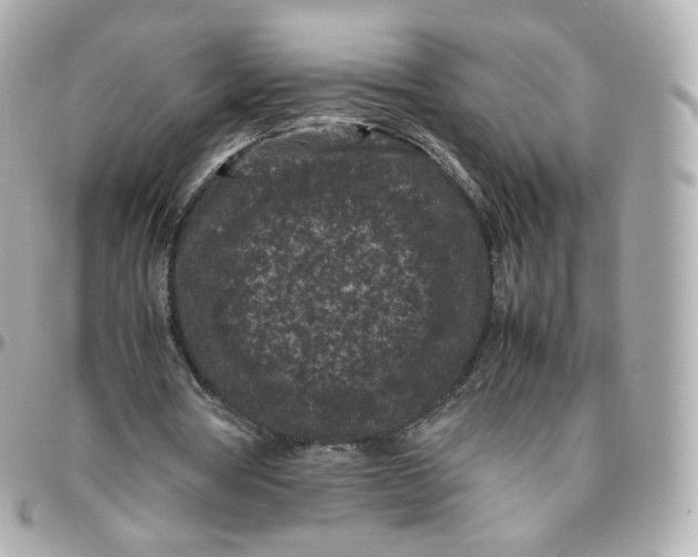 X0000095910386200802011155