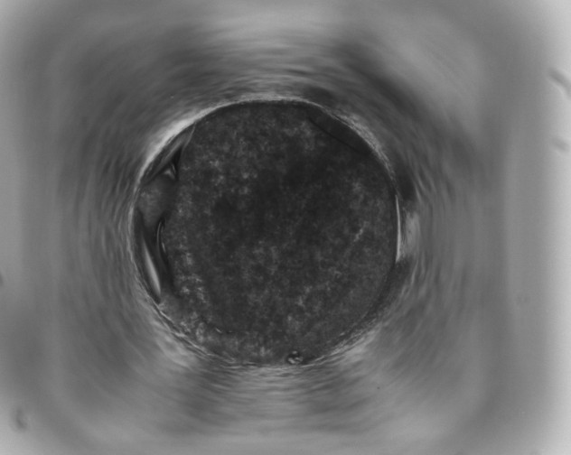 X0000095910387200802011155