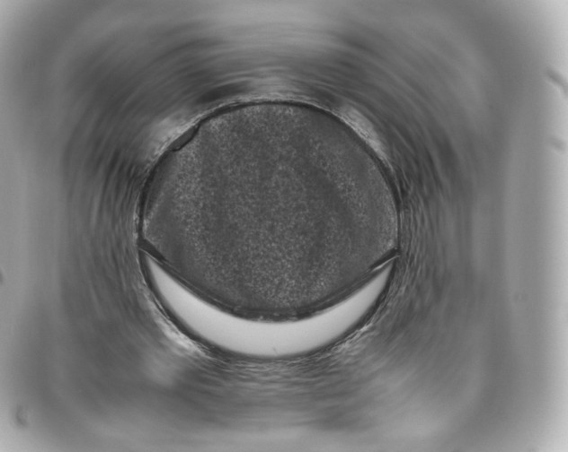 X0000095910389200802011155