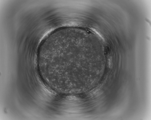 X0000095910392200802011155