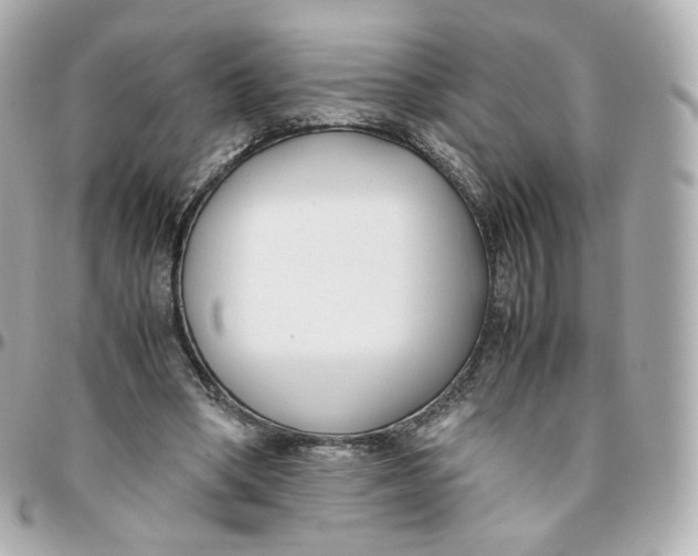 X0000095910394200802011155