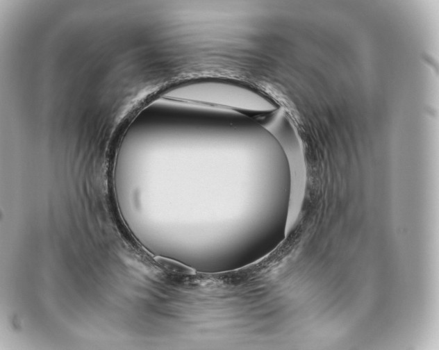 X0000095910395200802011155