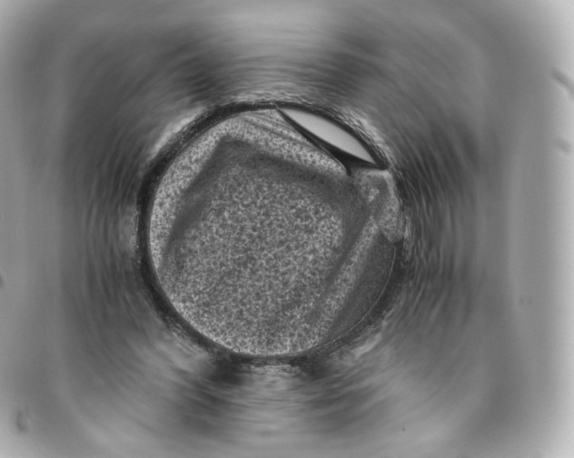 X0000095910396200802011155