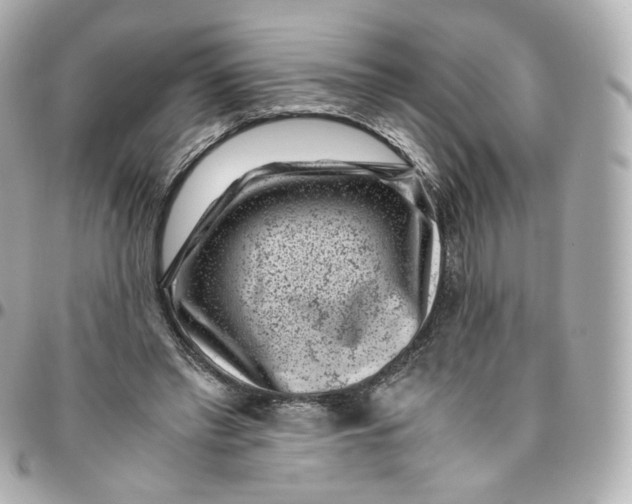 X0000095910397200802011155