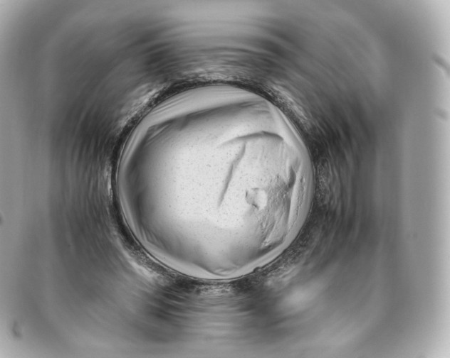 X0000095910398200802011155