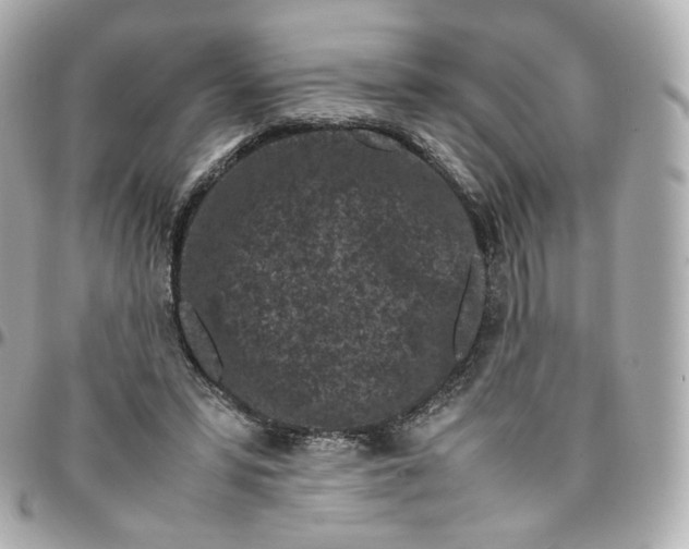 X0000095910399200802011155