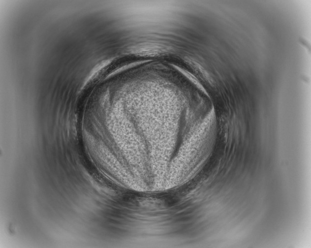 X0000095910400200802011155