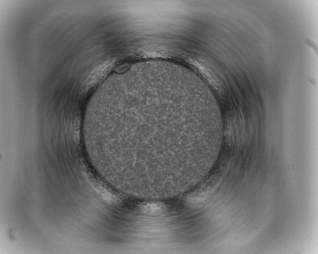 X0000095910402200802011155