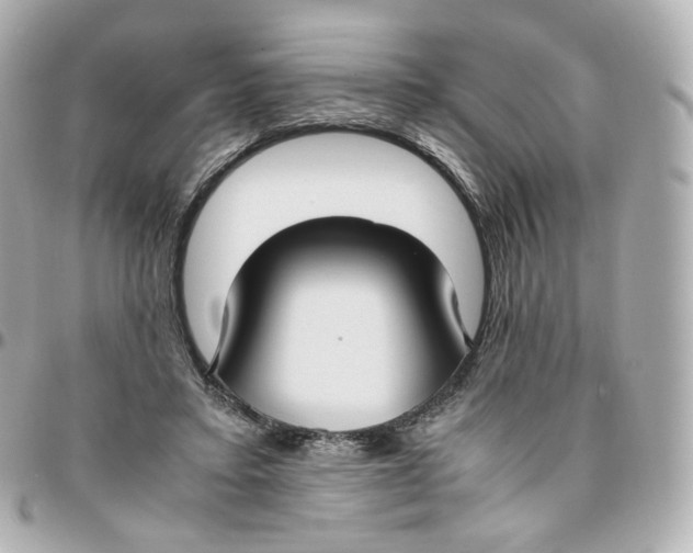 X0000095910403200802011155