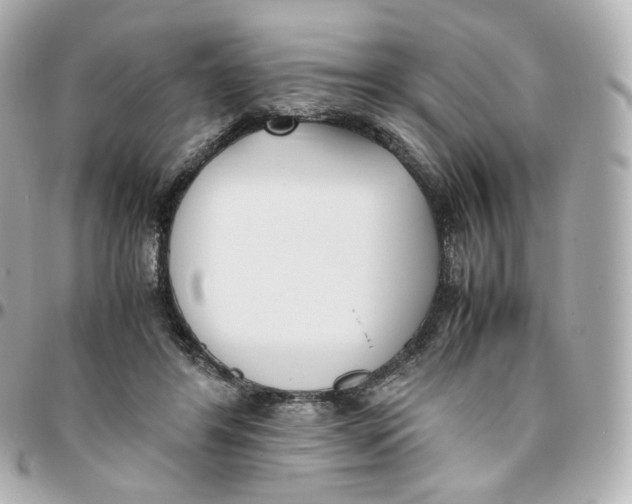 X0000095910404200802011155