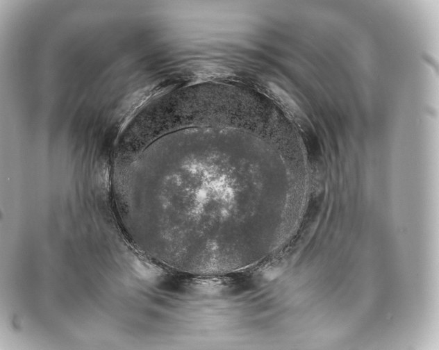 X0000095910405200802011155