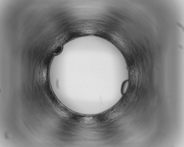 X0000095910406200802011155