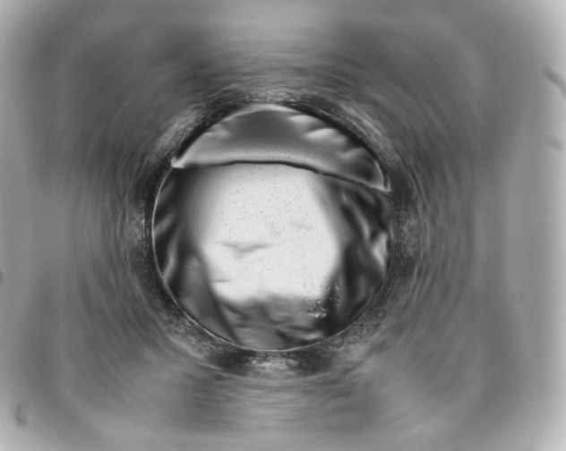 X0000095910407200802011155