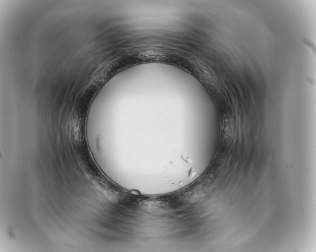 X0000095910408200802011155