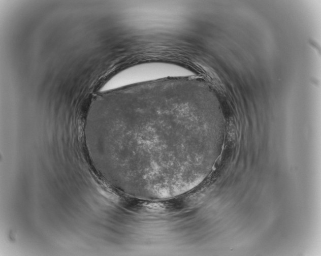 X0000095910409200802011155