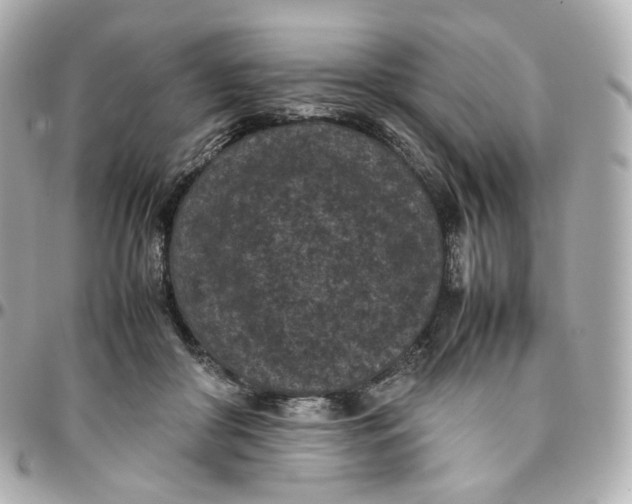 X0000095910410200802011155