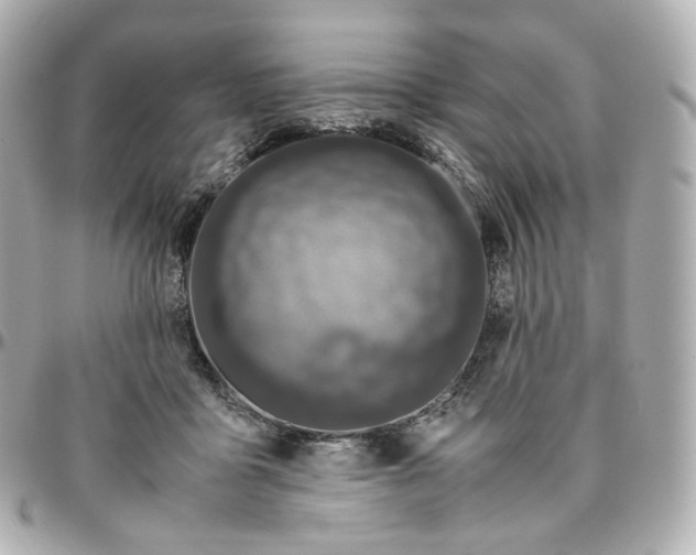 X0000095910411200802011155