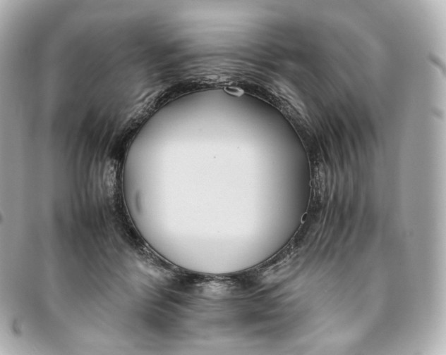 X0000095910412200802011155