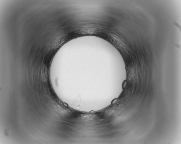 X0000095910414200802011155