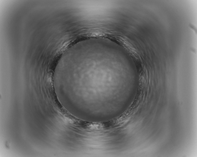 X0000095910415200802011155