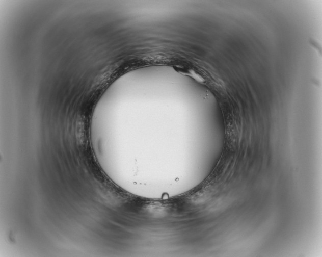 X0000095910416200802011155