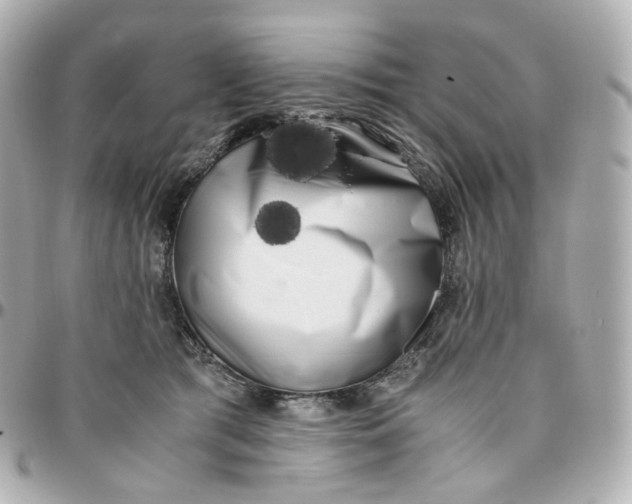 X0000095910417200802011155