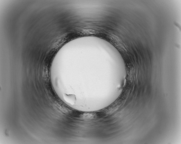 X0000095910418200802011155