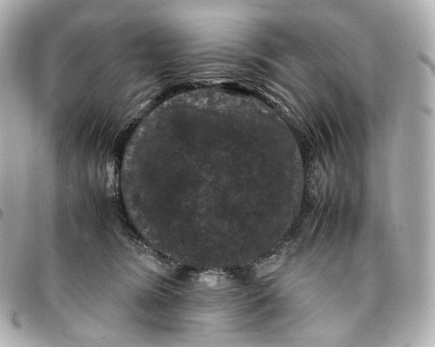 X0000095910420200802011155