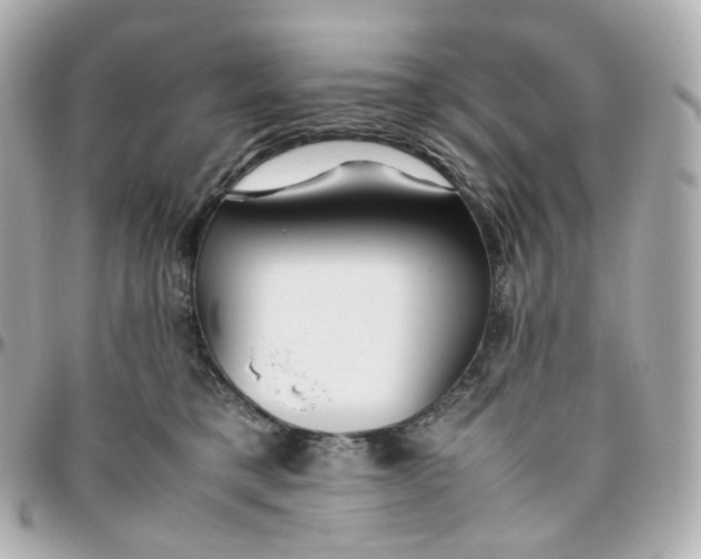 X0000095910421200802011155