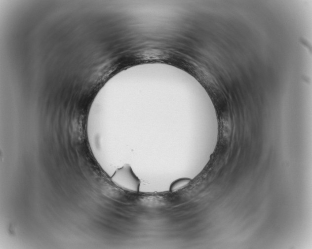 X0000095910422200802011155