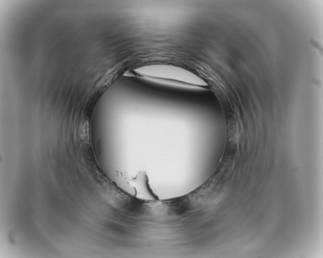 X0000095910425200802011155