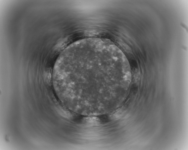 X0000095910427200802011155