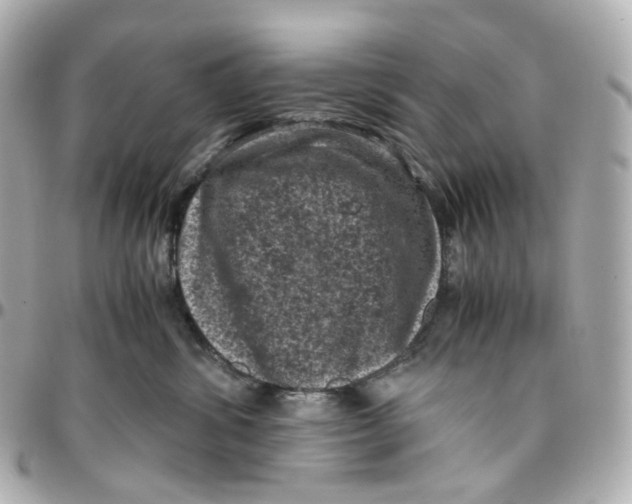 X0000095910428200802011155