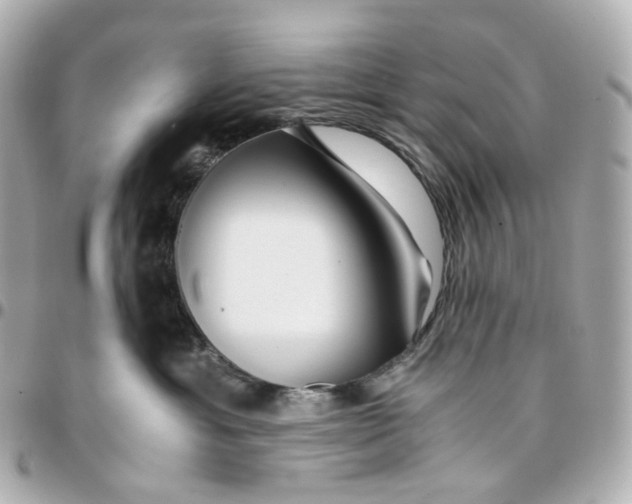 X0000095910429200802011155