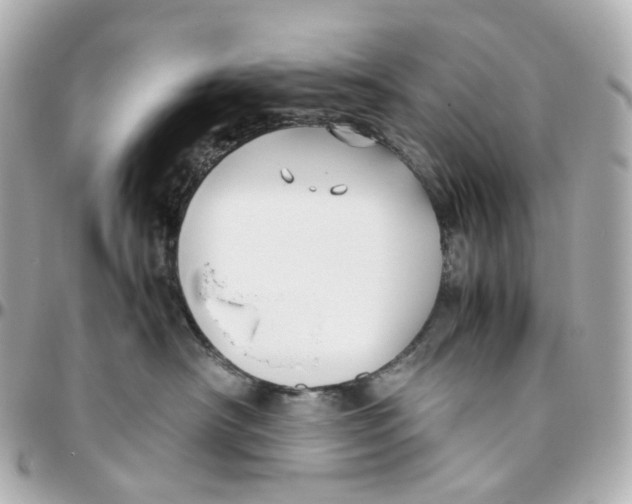 X0000095910430200802011155