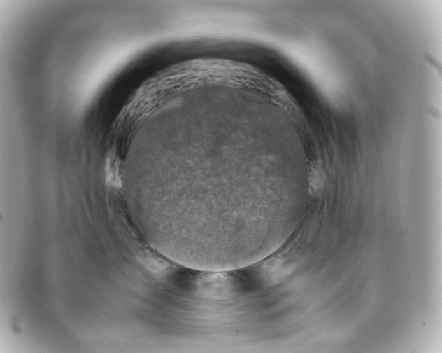 X0000095910431200802011155