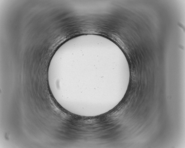 X0000095910433200802011154