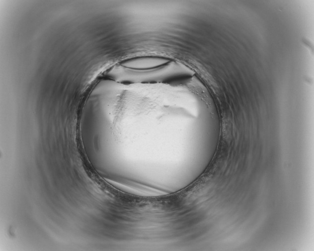 X0000095910434200802011154