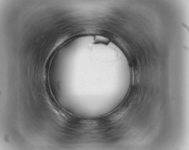 X0000095910435200802011154