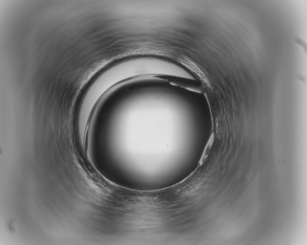 X0000095910436200802011154