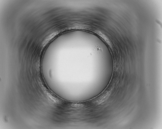 X0000095910437200802011154