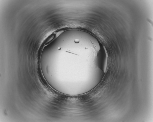 X0000095910440200802011154