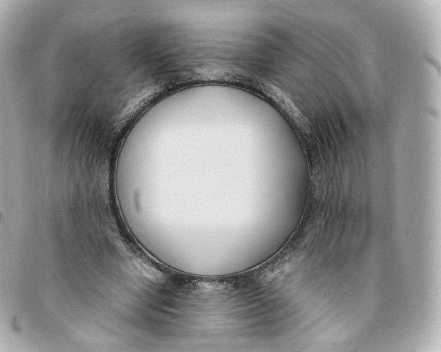 X0000095910442200802011154