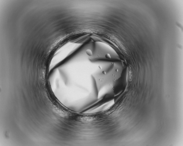 X0000095910444200802011154