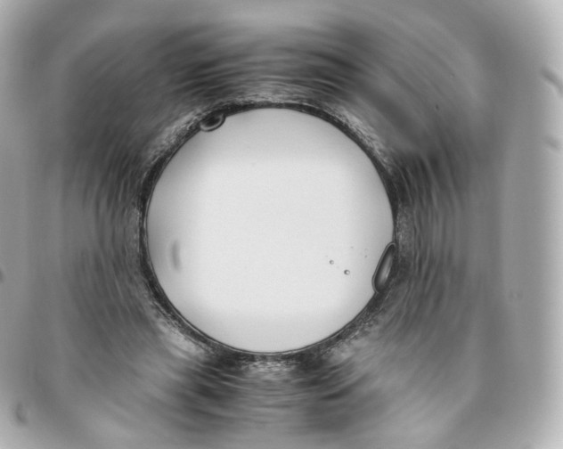 X0000095910445200802011154