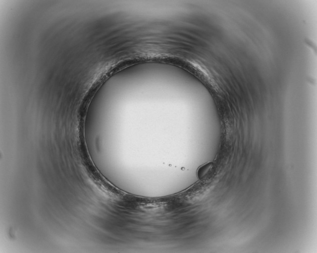 X0000095910447200802011154