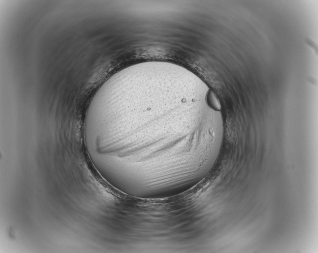 X0000095910449200802011154