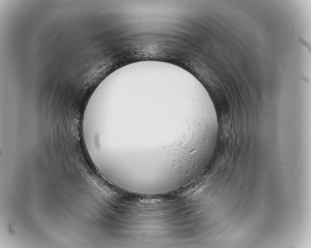 X0000095910450200802011154