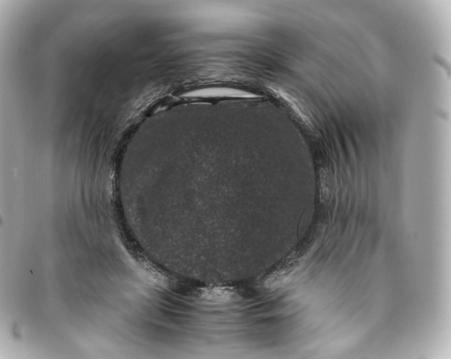 X0000095910451200802011154