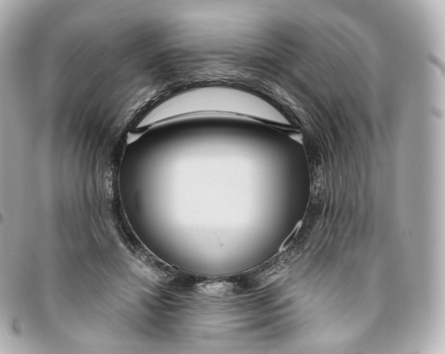 X0000095910452200802011154